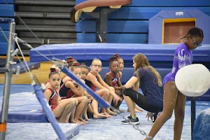 American Twisters Gymnastics image