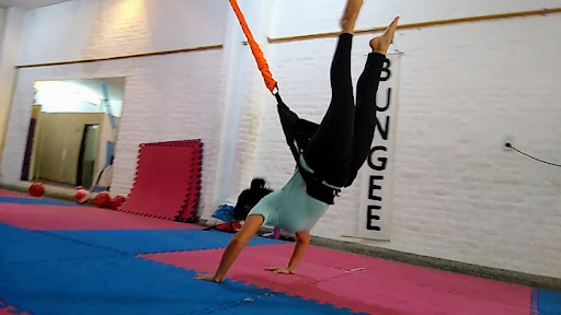 Vuela Alto Gym - Bungee Fusión Argentina