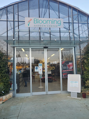 BLOOMING GARDEN CENTER