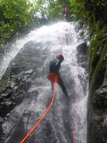 Comentarios y opiniones de Explorjungle Expediciones - Agencia de Turismo