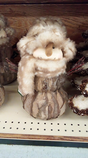 Discount Store «Big Lots», reviews and photos, 380 S Cherokee Ln, Lodi, CA 95240, USA