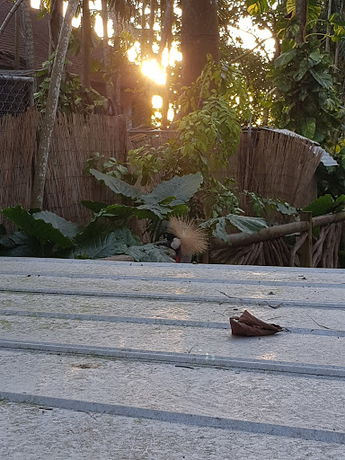 Tourist Attraction «Walton House», reviews and photos, 28501 SW 187th Ave, Homestead, FL 33030, USA