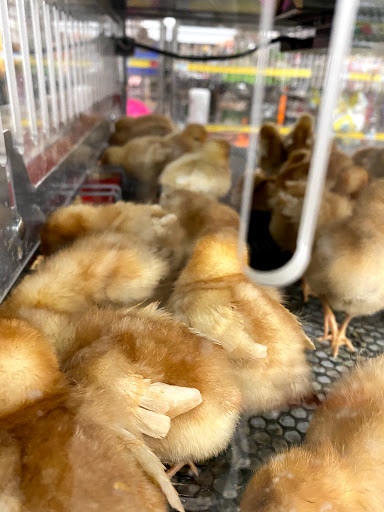 Home Improvement Store «Tractor Supply Co.», reviews and photos, 1360 Strickler Rd, Mount Joy, PA 17552, USA