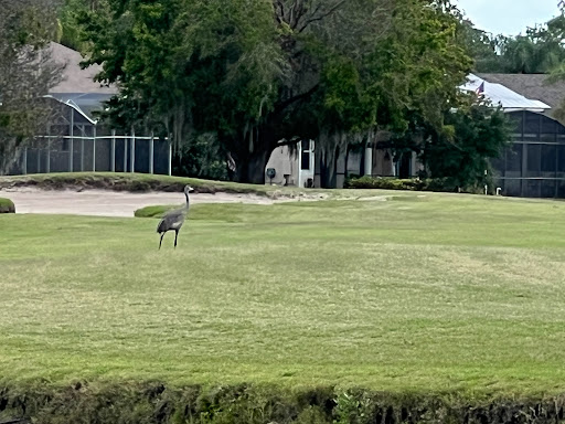 Golf Club «Kissimmee Bay Country Club», reviews and photos, 2801 Kissimmee Bay Blvd, Kissimmee, FL 34744, USA