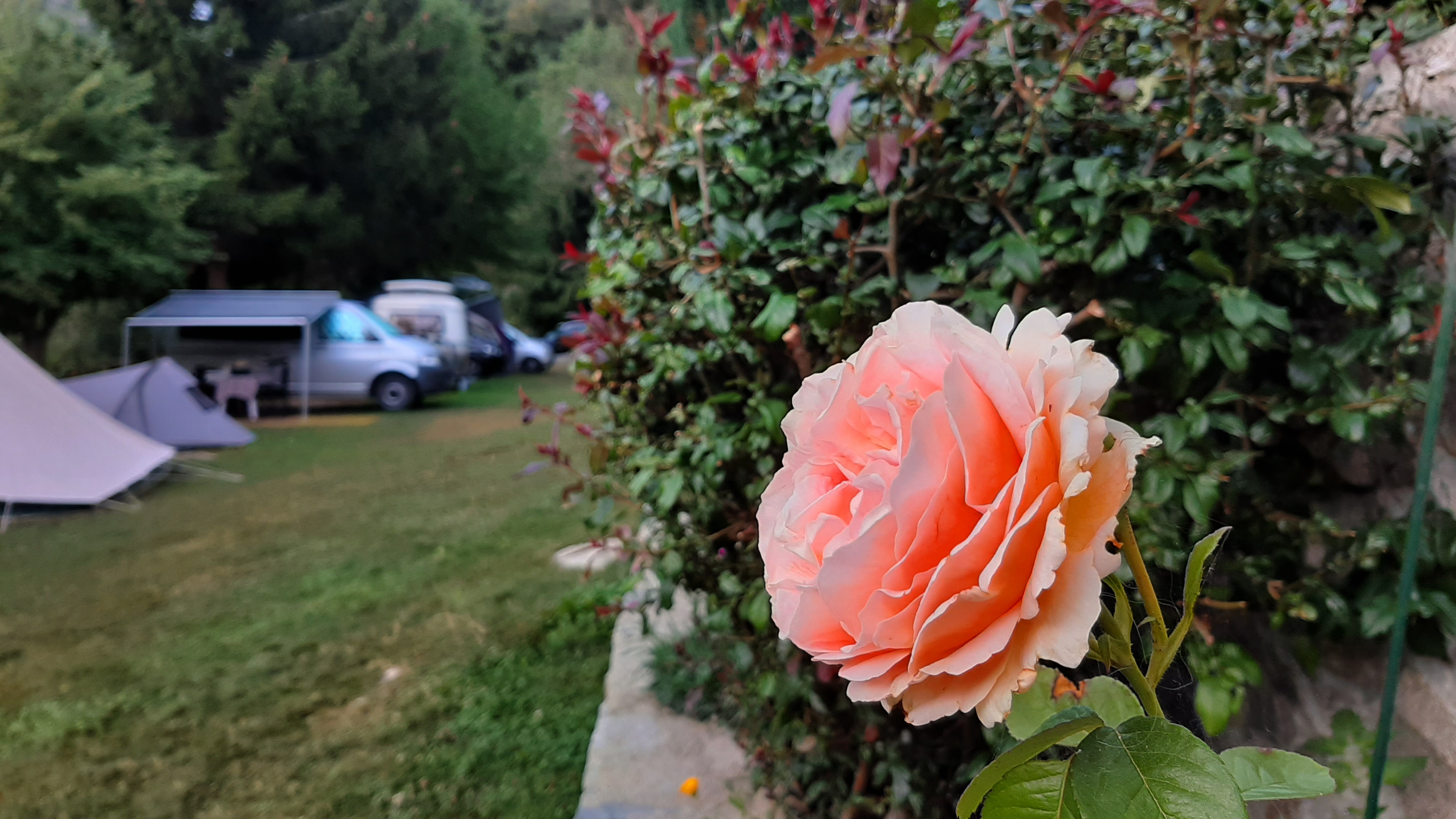 Photo n° 8 de l'avis de colonelabruti. fait le 16/08/2019 à 06:39