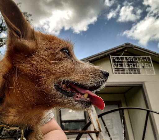 Alldredge Veterinary Services image