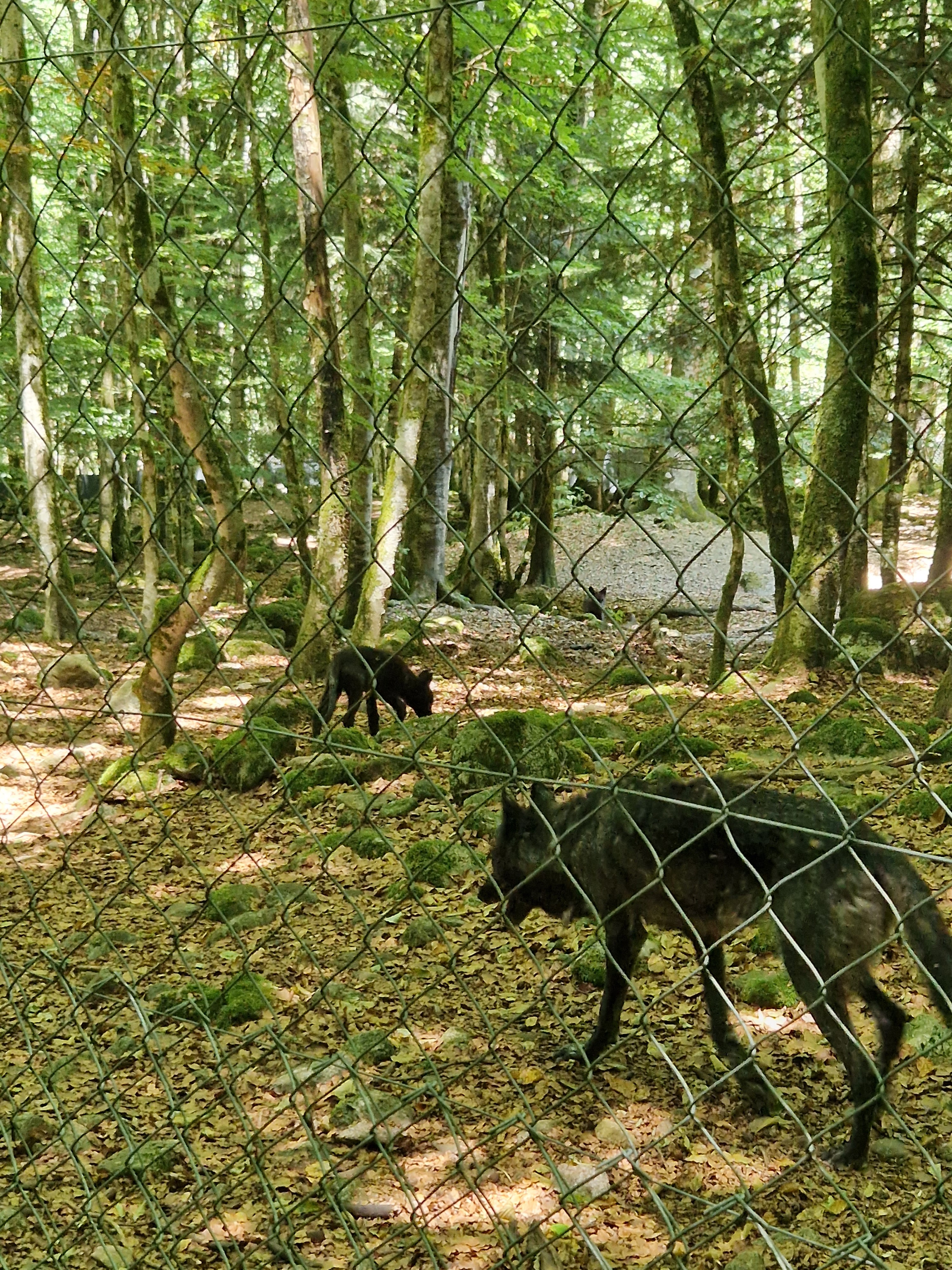 Photo n° 1 de l'avis de Virginie.N fait le 29/07/2022 à 21:03