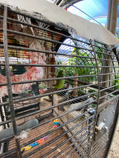 Wholesale Plant Nursery «Galloway Farm Nursery Inc.», reviews and photos, 7790 SW 87th Ave, Miami, FL 33173, USA