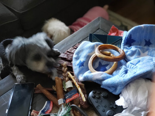 Pet Supply Store «Pet Supermarket», reviews and photos, 3821 S Cobb Dr, Smyrna, GA 30080, USA