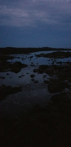 General Store «Goose Rocks Beach General Store», reviews and photos, 3 Dyke Rd, Kennebunkport, ME 04046, USA