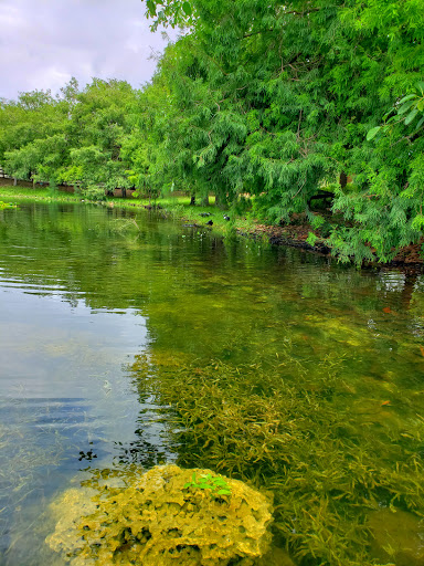 Park «Amelia Earhart Park», reviews and photos, 401 E 65th St, Hialeah, FL 33013, USA