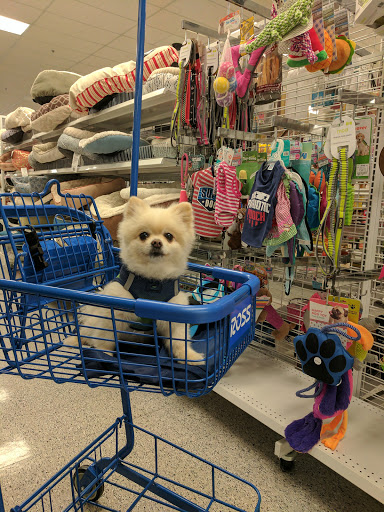 Clothing Store «Ross Dress for Less», reviews and photos, 6900 Katella Ave, Cypress, CA 90630, USA