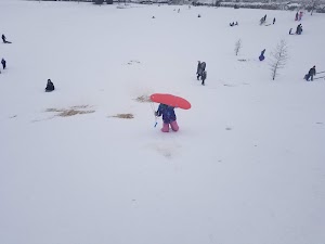 Jordan Ridge Park - photo 87