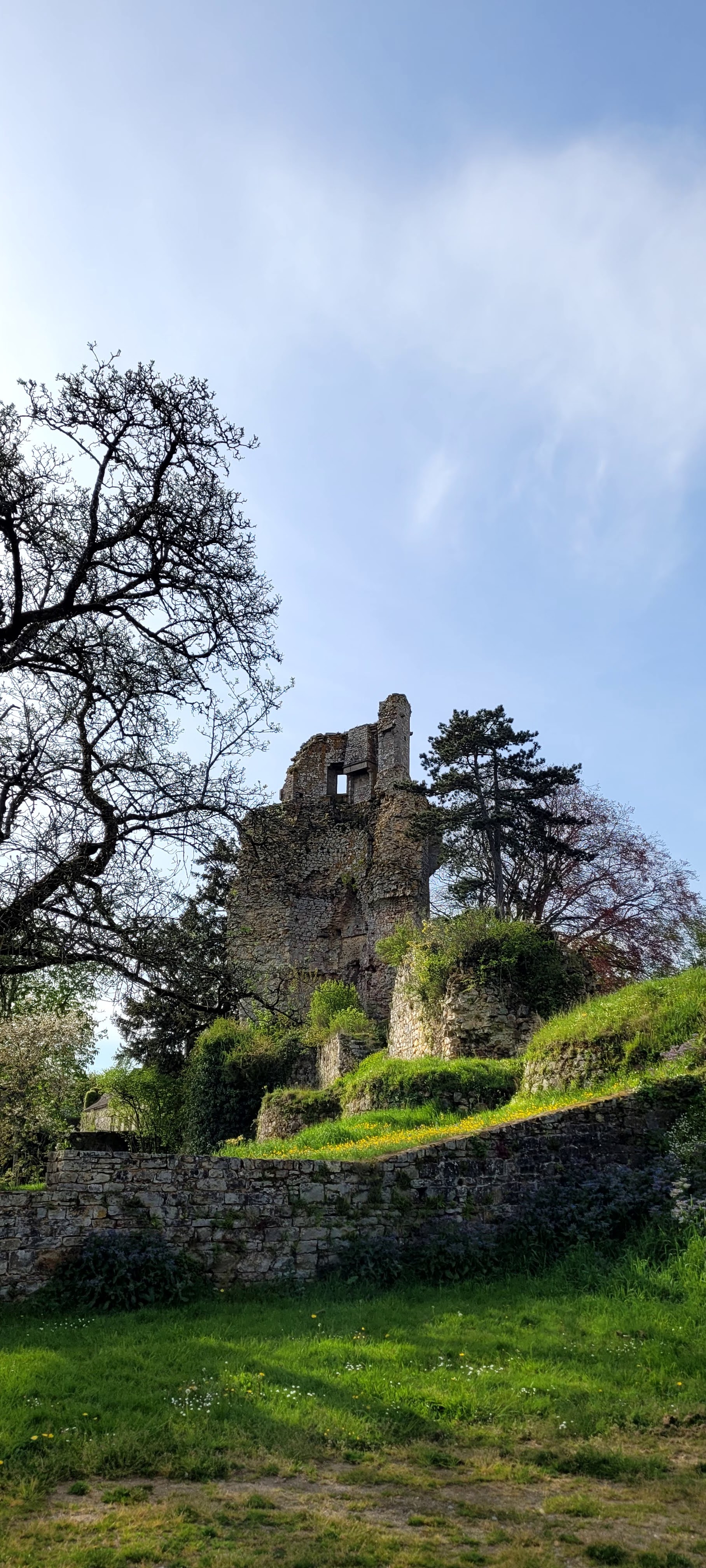 Photo n° 3 de l'avis de Bertrand.a fait le 18/04/2022 à 20:58