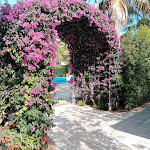 Photo n°1 de l'avis de Michele.i fait le 21/07/2023 à 11:15 sur le  Oleandri Resort Paestum à Paestum