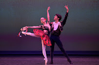 Cuban Classical Ballet of Miami - Photo 7 - Car repair in Miami, FL, Miami