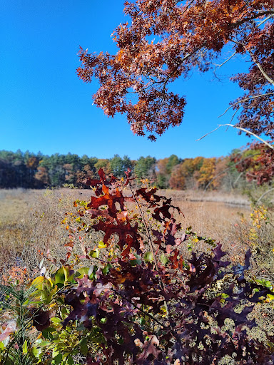 Nature Preserve «The Nature Trail and Cranberry Bog», reviews and photos, 252 Patriot Pl, Foxborough, MA 02035, USA