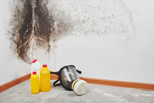 Buzz Mold Removal & Remediation