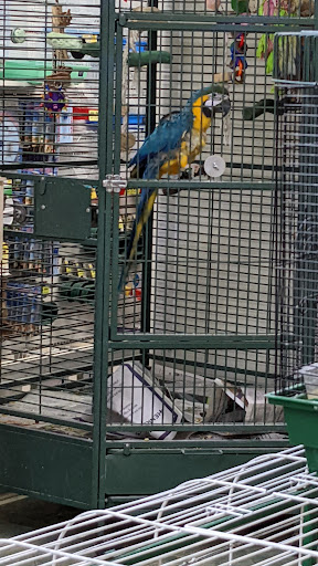 Pet Store «Discount Pet & Supplies», reviews and photos, 16320 Middlebelt Rd, Livonia, MI 48154, USA