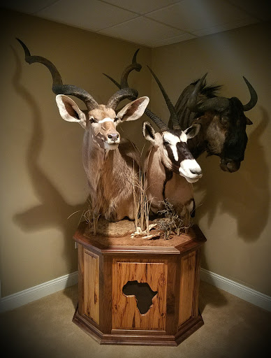 Taxidermist «HighPoint Taxidermy And Outfutters», reviews and photos, 14860 OH-13, Thornville, OH 43076, USA