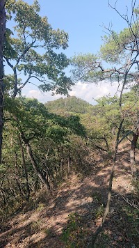 烏ヶ岳