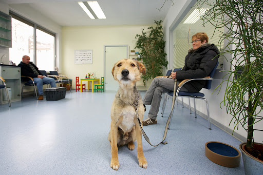 Tierarzt Biet & Wanschura Nagold, Tierarztpraxis Biet & Wanschura unter Nagold, 
