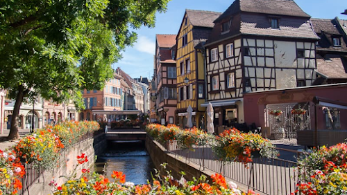 le riesling Colmar à Colmar