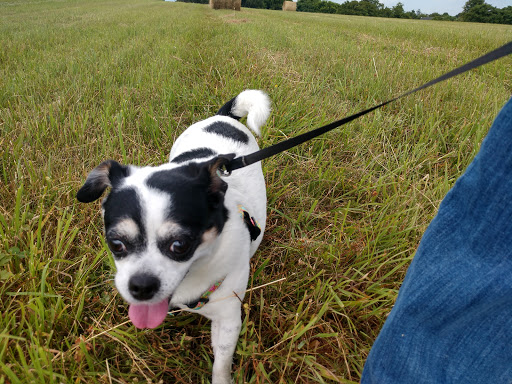 Historical Place «The Kernstown Battlefield», reviews and photos, 610 Battle Park Dr, Winchester, VA 22601, USA