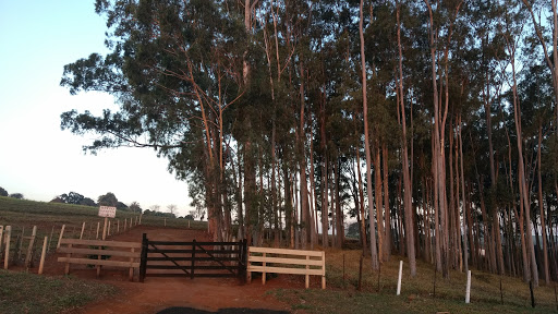 Freisleben & Miotto em Batatais