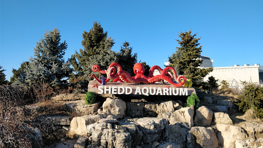 Aquarium «Shedd Aquarium», reviews and photos, 1200 S Lake Shore Dr, Chicago, IL 60605, USA