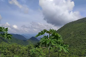 Niyamagiri Range image