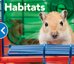 Best Places To Buy A Hamster In San Diego Near You