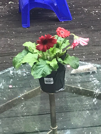 Home Improvement Store «The Home Depot», reviews and photos, 798 Main St, Johnson City, NY 13790, USA