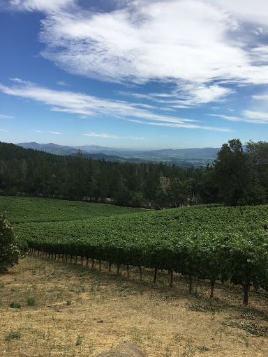 Winery «CADE Estate Winery», reviews and photos, 1234 Adams St, St Helena, CA 94574, USA