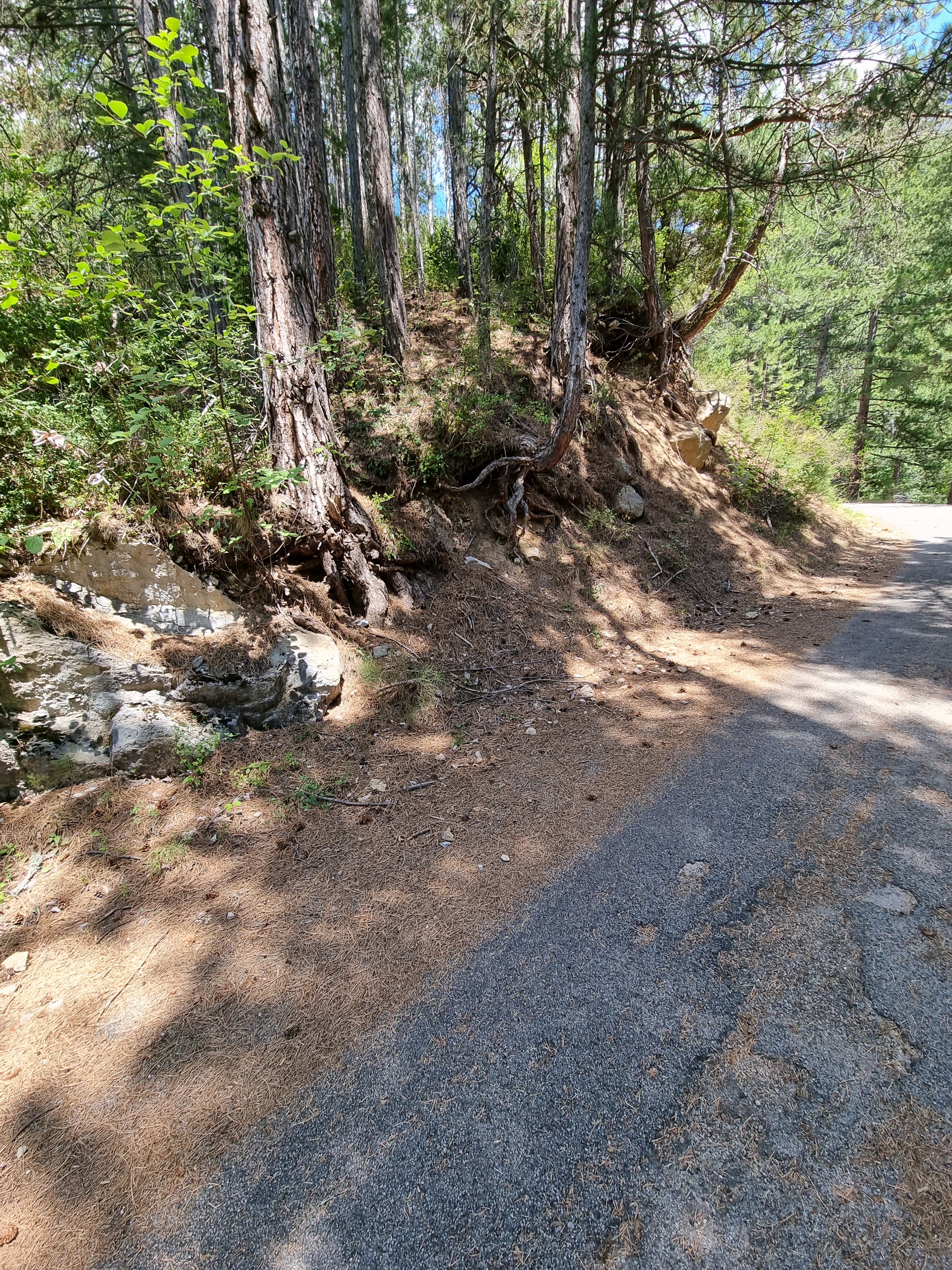 Photo n° 1 de l'avis de Viktória.i fait le 16/07/2022 à 14:18