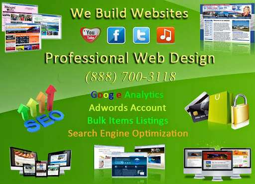 Building Professional Website