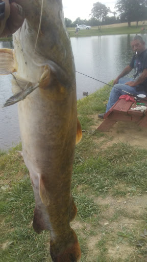 Used Car Dealer «9 East Auto Sales», reviews and photos, 39 Slonaker Ln, Martinsburg, WV 25405, USA