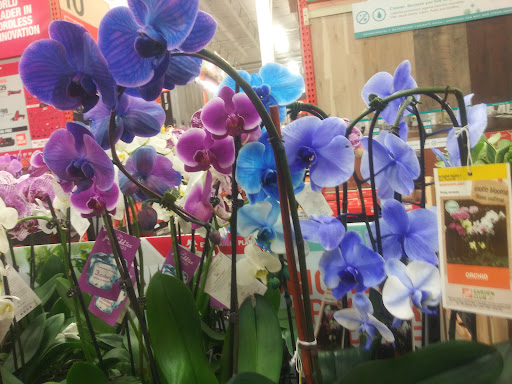 Home Improvement Store «The Home Depot», reviews and photos, 2021 Harrodsburg Rd, Lexington, KY 40504, USA