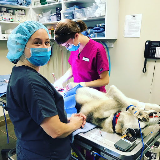 Yukon Hills Animal Hospital image