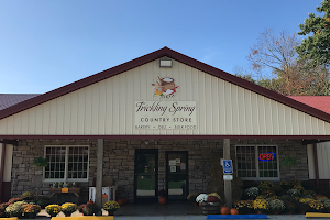 Trickling Spring Country Store image