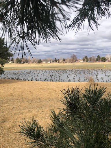 Golf Course «City Park Golf Course», reviews and photos, 2500 York St, Denver, CO 80205, USA