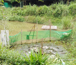 ศูนย์เรียนรู้เกษตรทฤษฎีใหม่ photo
