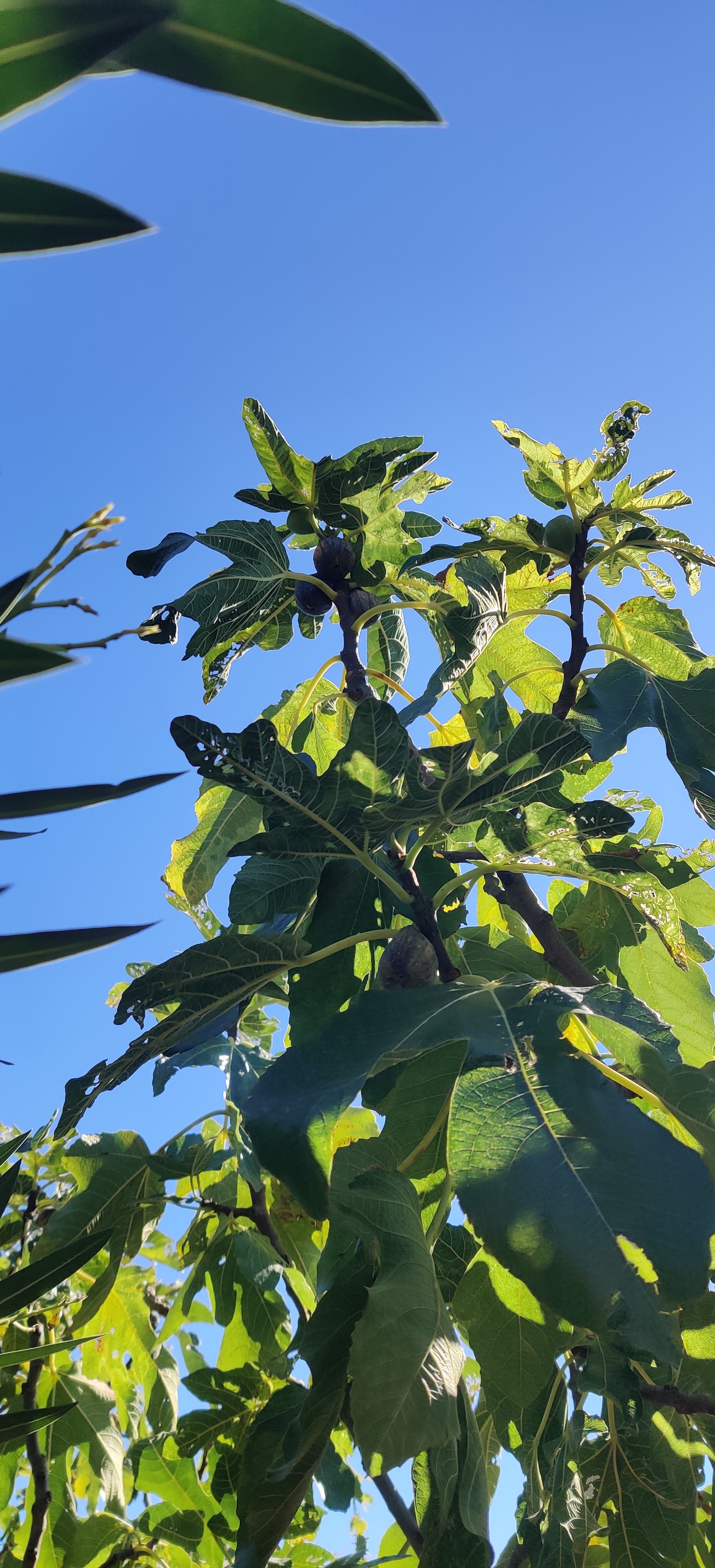 Photo n° 9 de l'avis de Oneplus7pro.n fait le 20/08/2022 à 22:57