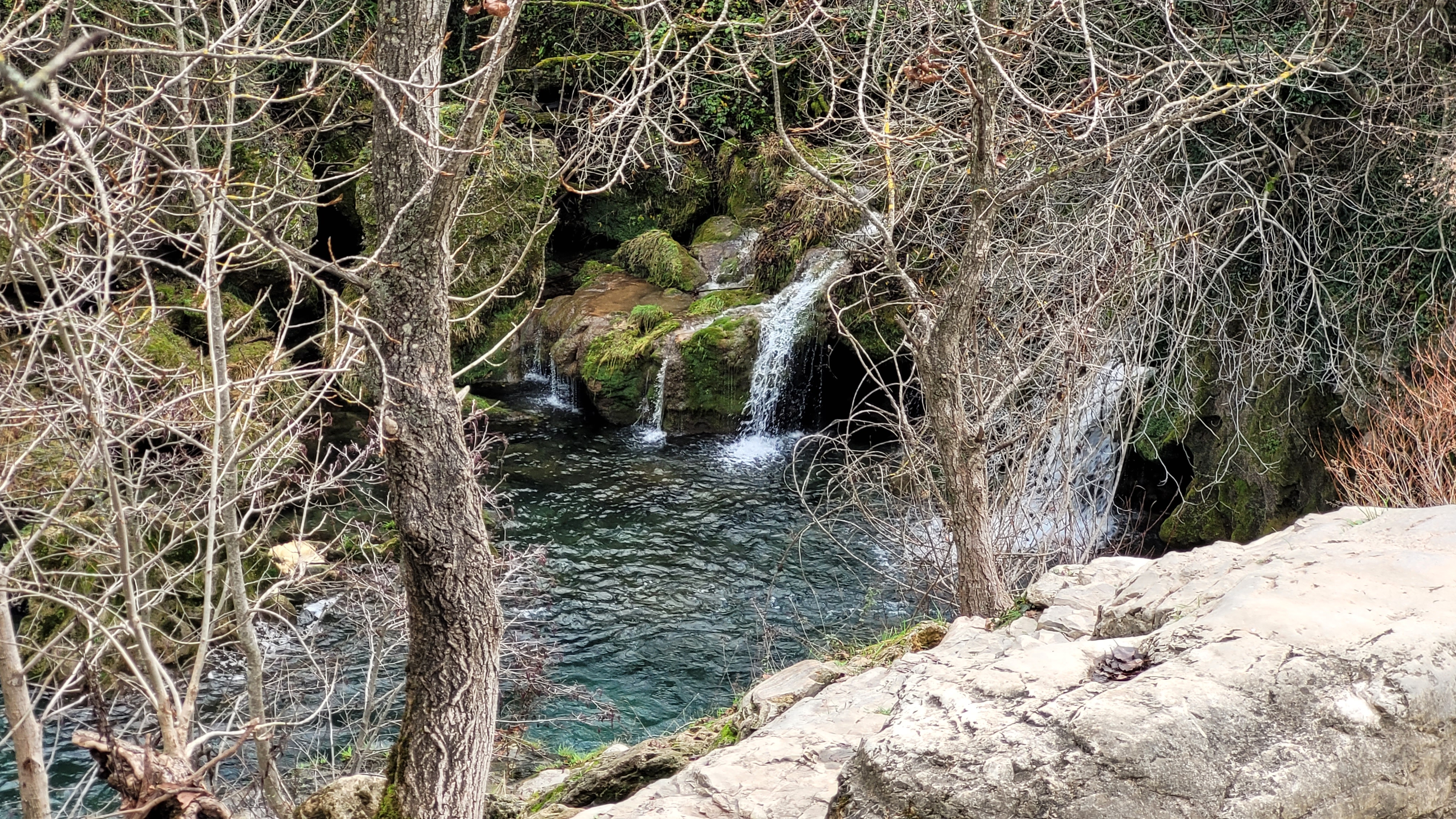 Photo n° 20 de l'avis de Salopette.o fait le 28/12/2022 à 18:35