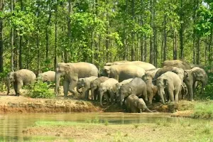 Mayurjharna Elephant Reserve image