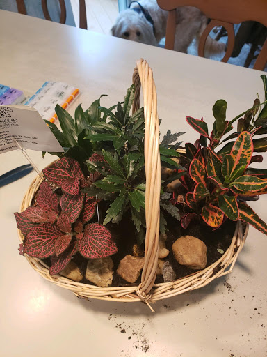 Skin Care Clinic «Fredericksburg Flowers», reviews and photos, 2091 Jefferson Davis Hwy, Fredericksburg, VA 22401, USA