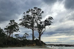 Two Tree Point image