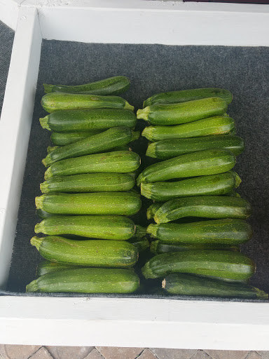 Florist «Post Road English Garden», reviews and photos, 1105 N Post Rd, Indianapolis, IN 46219, USA