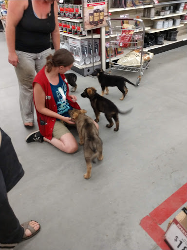 Home Improvement Store «Tractor Supply Co.», reviews and photos, 88 Center Rd, Morrisville, VT 05661, USA