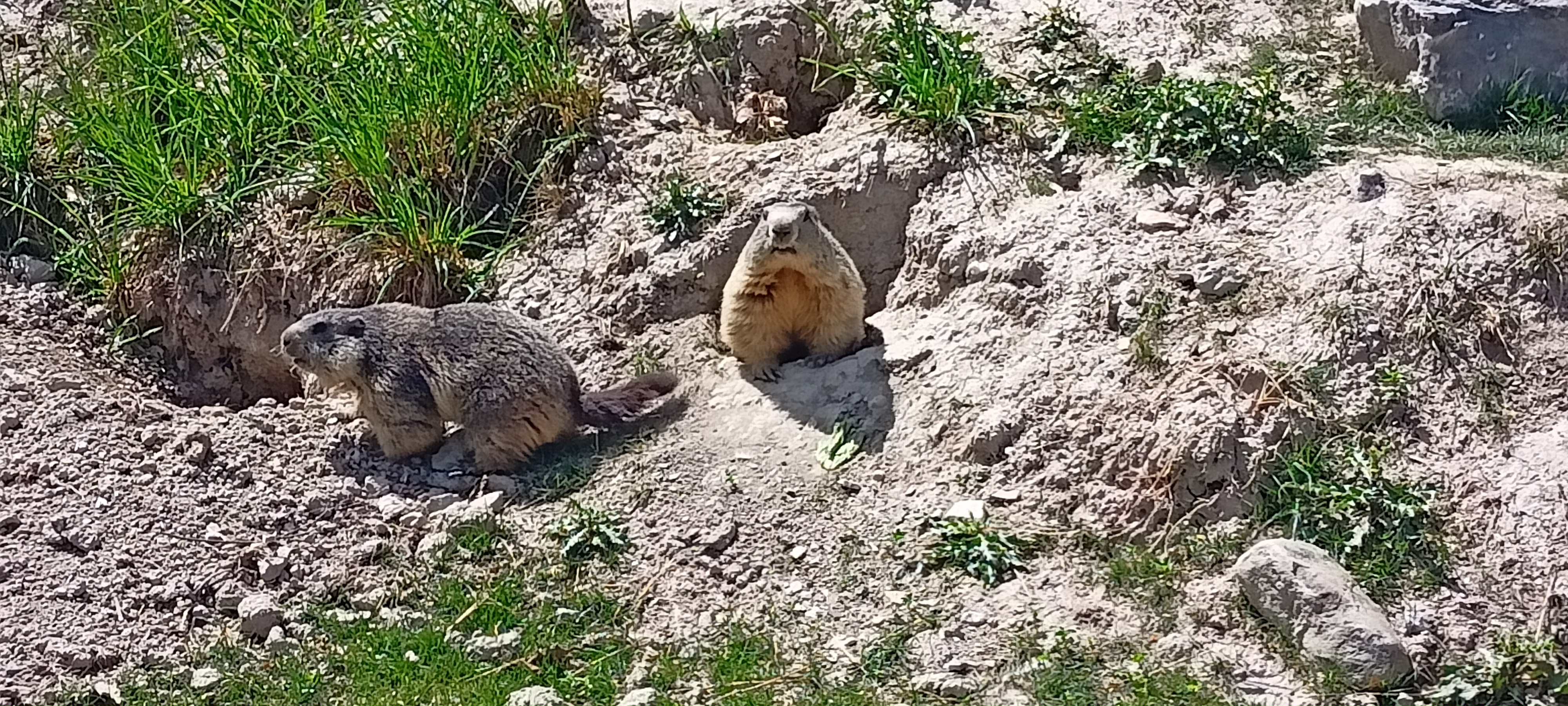 Photo n° 4 de l'avis de Audrey.o fait le 27/05/2022 à 19:26